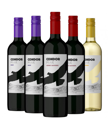 Zestaw Degustacyjny Argentyński Condor Peak