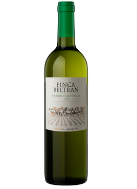 Finca Beltran Duo Chenin Chardonnay 0,75l