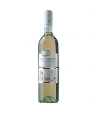 CANTINA GABRIELE PINOT GRIGIO KOSHER WINE - 1