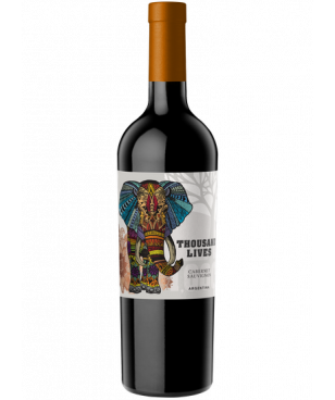 Zestaw Degustacyjny Cabernet Sauvignon 4+2 Gratis - 3