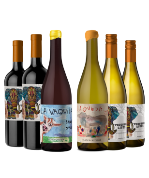 Zestaw Win na Karnawał - Argentyna 3+3 Gratis