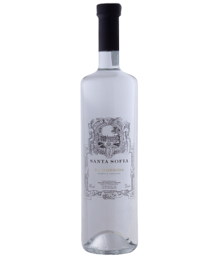 GRAPPA DI AMARONE LA MORBIDA 0,5L / 40,0% / 6 / IT