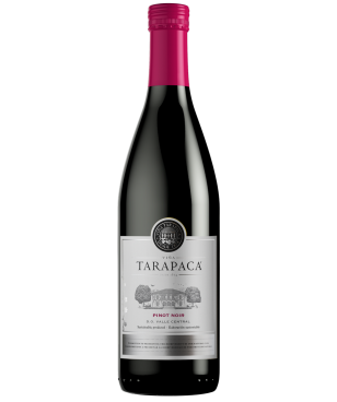 TARAPACA VARIETAL PINOT GRIGIO 0,75L