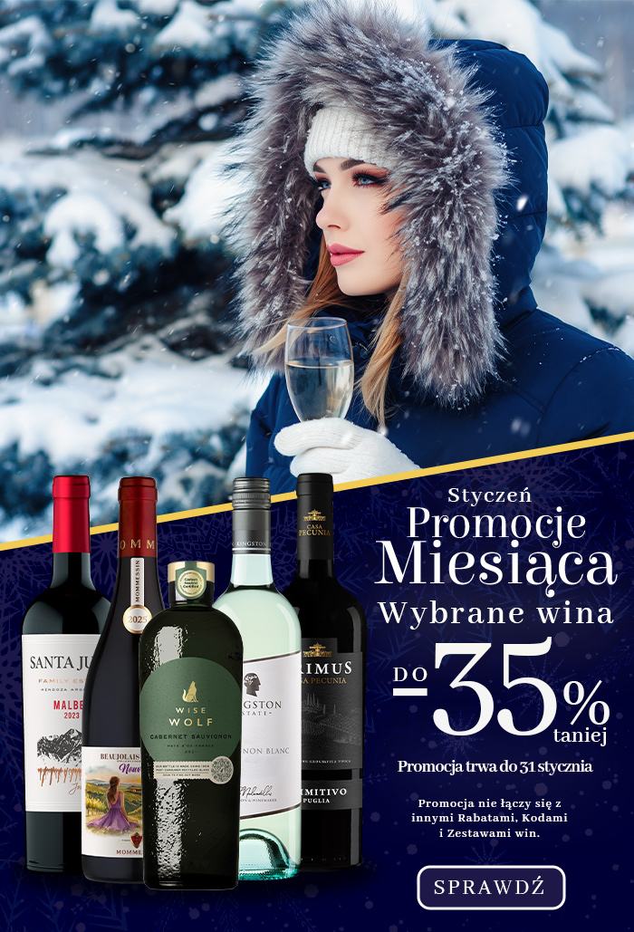 Promocje Miesiąca - Styczeń