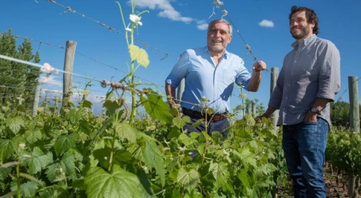 Familia Zuccardi - Ikona win argentyńskich