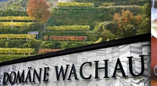 Domane Wachau - wina z charakterem